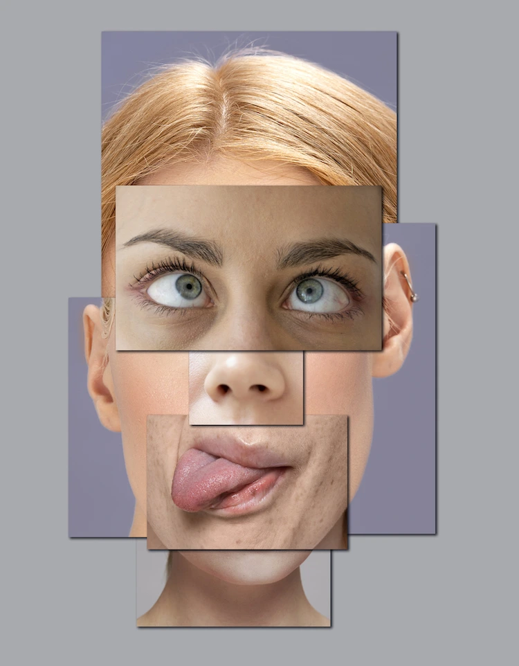 Prestation morphologie de visage image de patchwork visage de femme